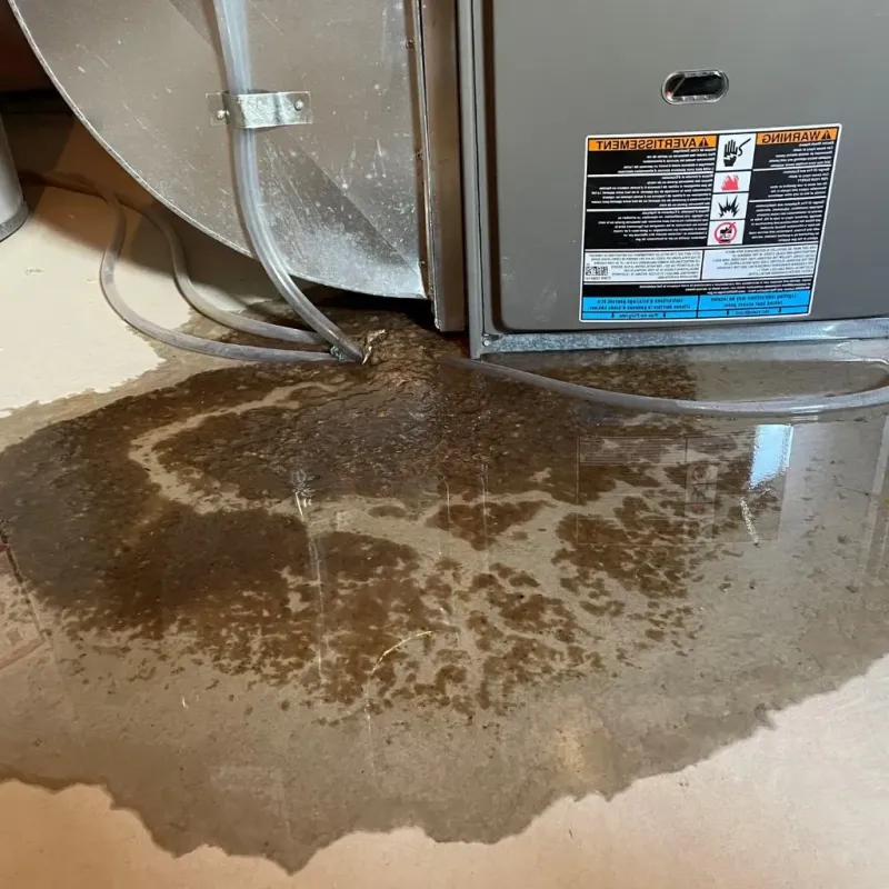 Pipe Burst and Leak Restoration in Brentwood, TN